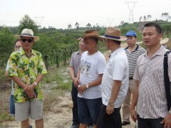 第四组赴双捷镇考察火龙果产业